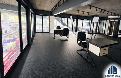 Estúdio — variação de organização na Galeria Lion